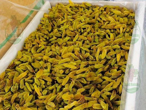 بازار فروش کشمش قزوین آجیلی