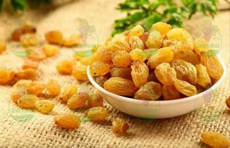 ارائه کننده کشمش گلدن صادراتی