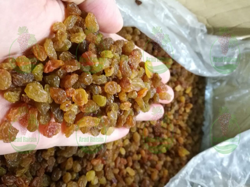 قیمت کشمش قزوین
