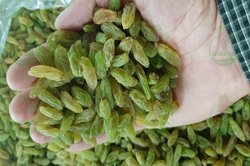 تولید عمده کشمش طلایی صادراتی