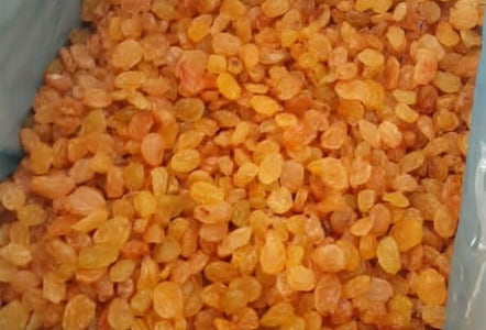 کشمش انگوری طلایی قیمتش چنده و پیش بینی بازار فروش آن در سال جاری