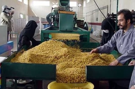 کشمش فروشی در تاکستان با نرخ تولید