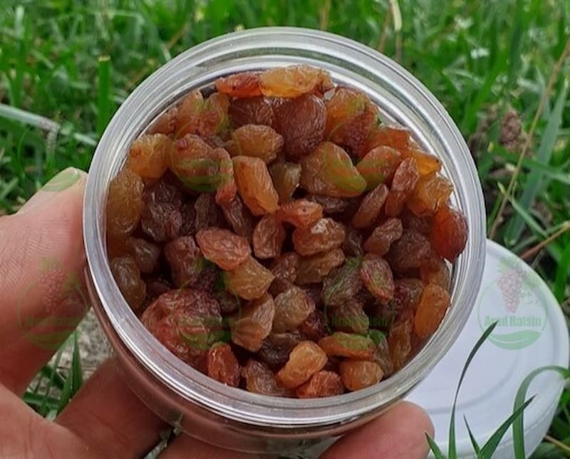 کشمش تیزابی چگونه محصولی است؟