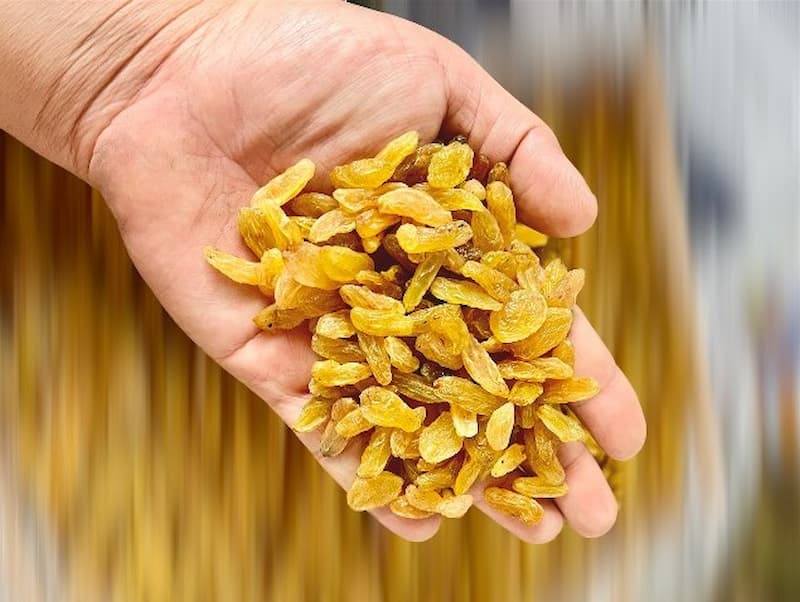 کشمش طلایی تیزابی تاکستان