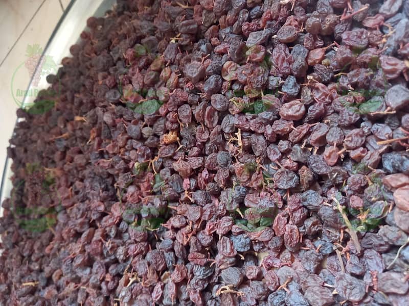 کشمش آفتابی تاکستان قزوین