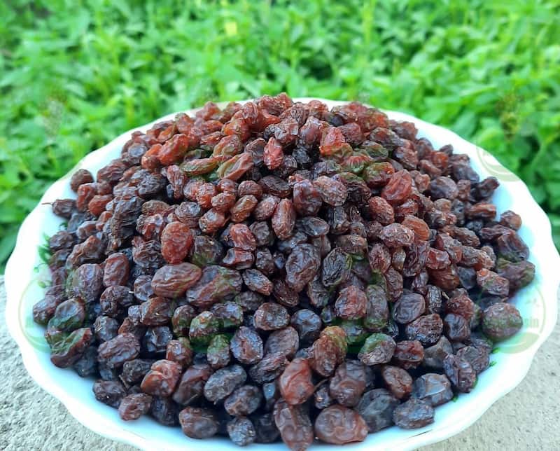 کشمش خرمایی مرغوب ساناتاک