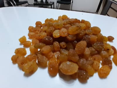 فروش کشمش تیزابی طلایی بی دانه